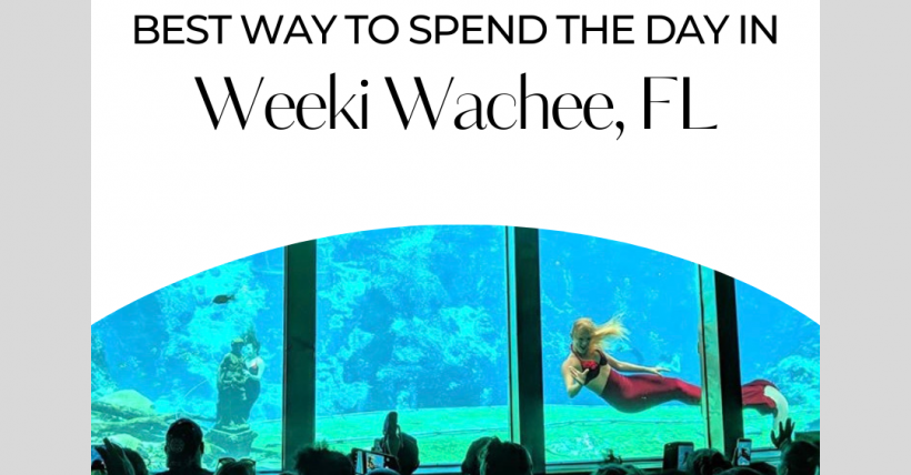 Best Way to Spend the Day in Weeki Wachee, FL | Things To Do in Weeki Wachee